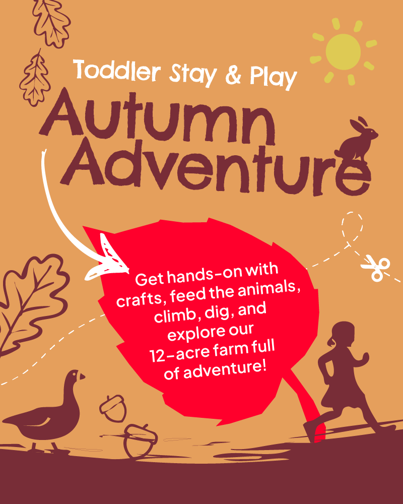 Toddler Stay & Play Autumn